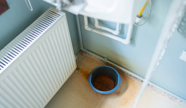 Best Carpet water damage restoration  in Lmerton, PA